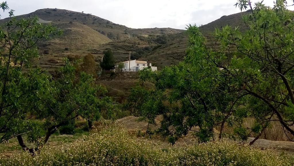 Maison d'hôtes Cortijo Claudia à Taberno Extérieur photo